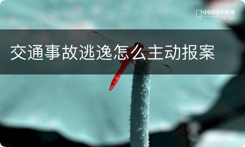 交通事故逃逸怎么主动报案