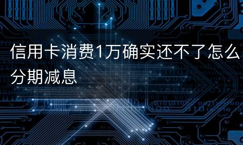 信用卡消费1万确实还不了怎么分期减息