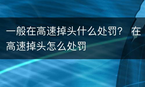一般在高速掉头什么处罚？ 在高速掉头怎么处罚