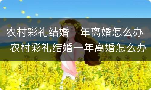农村彩礼结婚一年离婚怎么办 农村彩礼结婚一年离婚怎么办呢