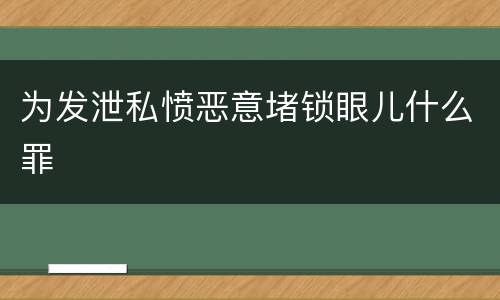 为发泄私愤恶意堵锁眼儿什么罪