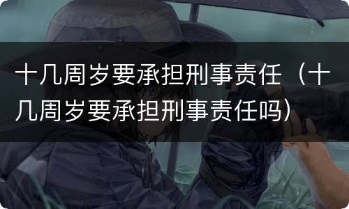 十几周岁要承担刑事责任（十几周岁要承担刑事责任吗）