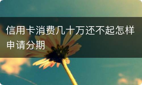 信用卡消费几十万还不起怎样申请分期