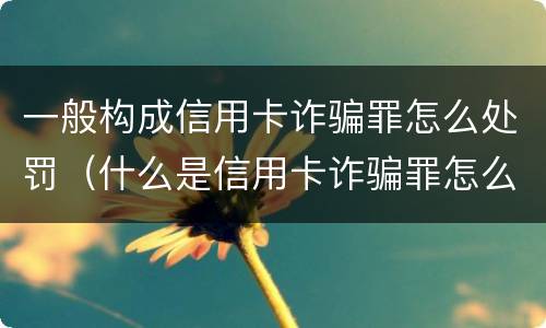 一般构成信用卡诈骗罪怎么处罚（什么是信用卡诈骗罪怎么处罚）