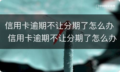 信用卡逾期不让分期了怎么办 信用卡逾期不让分期了怎么办呢