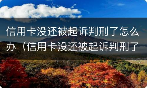 信用卡没还被起诉判刑了怎么办（信用卡没还被起诉判刑了怎么办呢）