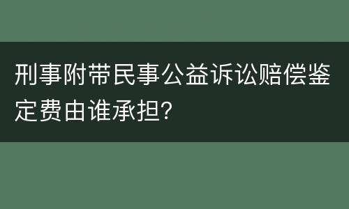 刑事附带民事公益诉讼赔偿鉴定费由谁承担？
