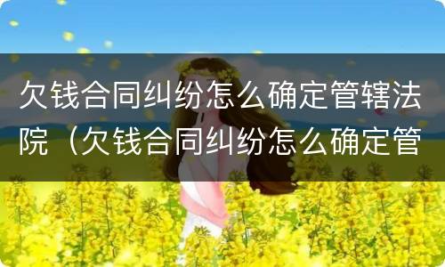 欠钱合同纠纷怎么确定管辖法院（欠钱合同纠纷怎么确定管辖法院）