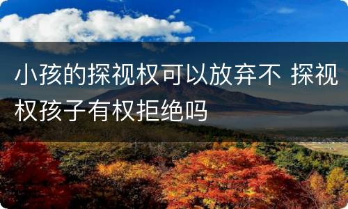 小孩的探视权可以放弃不 探视权孩子有权拒绝吗