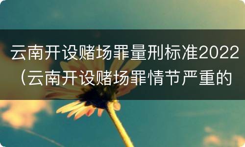 云南开设赌场罪量刑标准2022（云南开设赌场罪情节严重的标准）