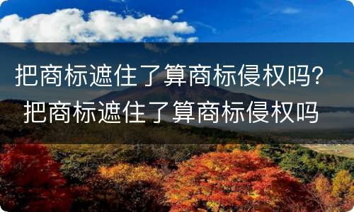 把商标遮住了算商标侵权吗？ 把商标遮住了算商标侵权吗