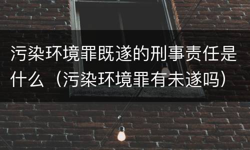 污染环境罪既遂的刑事责任是什么（污染环境罪有未遂吗）