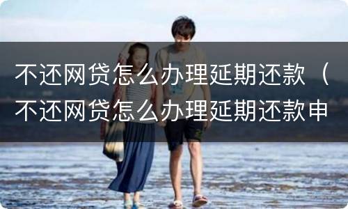 不还网贷怎么办理延期还款（不还网贷怎么办理延期还款申请）