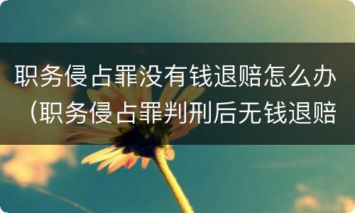 职务侵占罪没有钱退赔怎么办（职务侵占罪判刑后无钱退赔怎么办）
