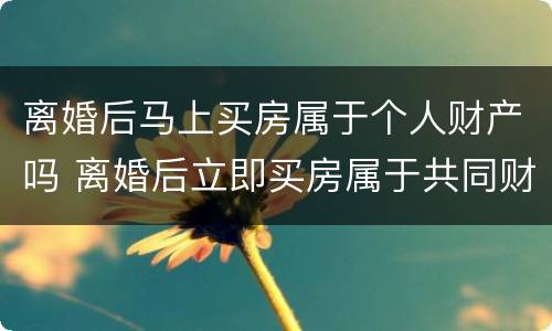 离婚后马上买房属于个人财产吗 离婚后立即买房属于共同财产吗
