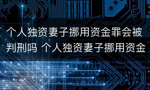 个人独资妻子挪用资金罪会被判刑吗 个人独资妻子挪用资金罪会被判刑吗知乎