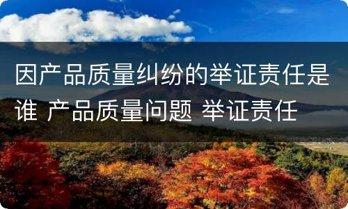 因产品质量纠纷的举证责任是谁 产品质量问题 举证责任