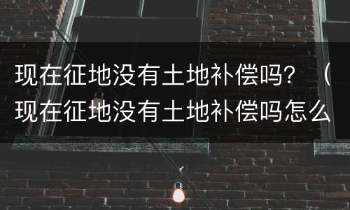 现在征地没有土地补偿吗？（现在征地没有土地补偿吗怎么办）