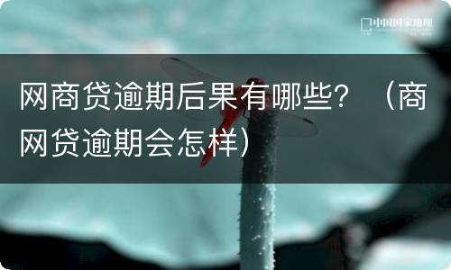 网商贷逾期后果有哪些？（商网贷逾期会怎样）