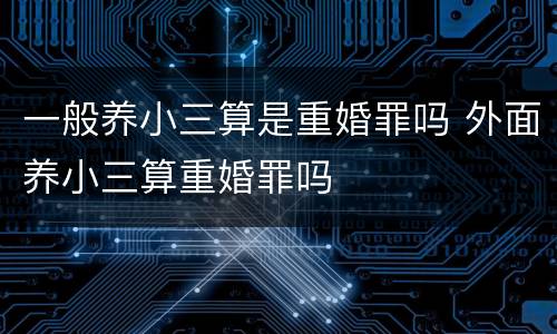 一般养小三算是重婚罪吗 外面养小三算重婚罪吗