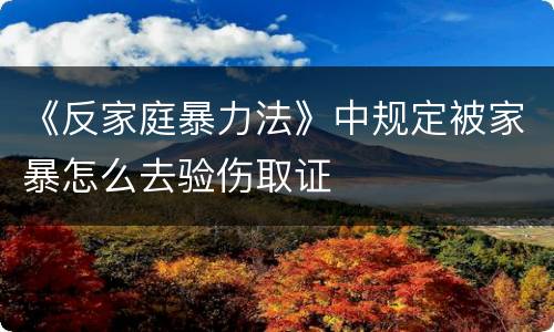 《反家庭暴力法》中规定被家暴怎么去验伤取证