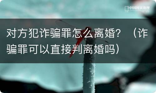 对方犯诈骗罪怎么离婚？（诈骗罪可以直接判离婚吗）