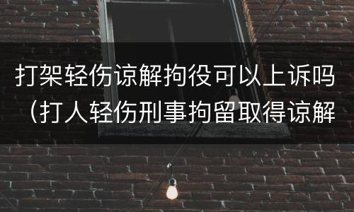 打架轻伤谅解拘役可以上诉吗（打人轻伤刑事拘留取得谅解后可消除案底吗）