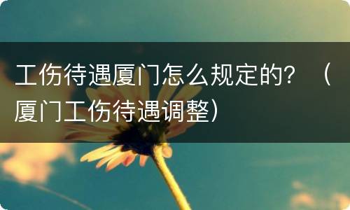 工伤待遇厦门怎么规定的？（厦门工伤待遇调整）