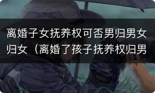 离婚子女抚养权可否男归男女归女（离婚了孩子抚养权归男方可以夺回抚养权吗）