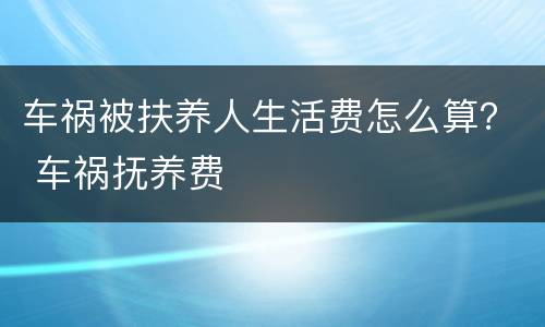 车祸被扶养人生活费怎么算？ 车祸抚养费