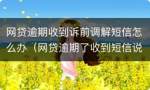 网贷逾期收到诉前调解短信怎么办（网贷逾期了收到短信说起诉了）