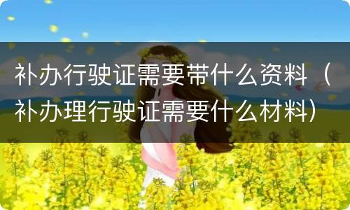 补办行驶证需要带什么资料（补办理行驶证需要什么材料）