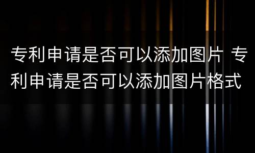 专利申请是否可以添加图片 专利申请是否可以添加图片格式
