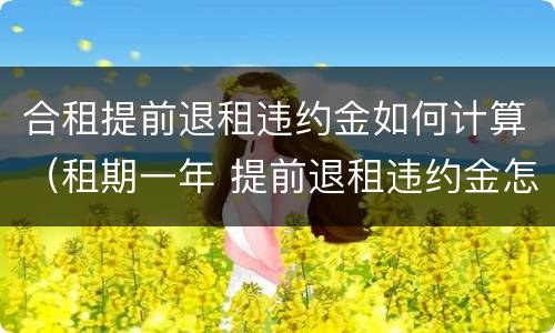 合租提前退租违约金如何计算（租期一年 提前退租违约金怎么算的）