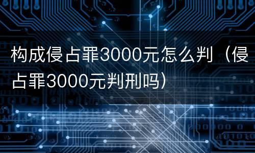 构成侵占罪3000元怎么判（侵占罪3000元判刑吗）