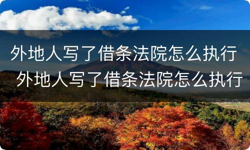 外地人写了借条法院怎么执行 外地人写了借条法院怎么执行呢