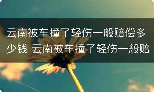 云南被车撞了轻伤一般赔偿多少钱 云南被车撞了轻伤一般赔偿多少钱啊
