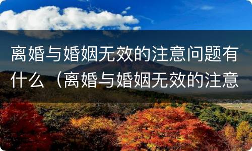 离婚与婚姻无效的注意问题有什么（离婚与婚姻无效的注意问题有什么关系）