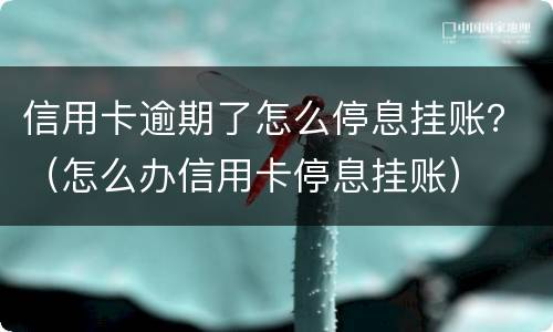 信用卡逾期了怎么停息挂账？（怎么办信用卡停息挂账）