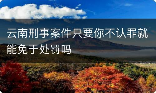 云南刑事案件只要你不认罪就能免于处罚吗