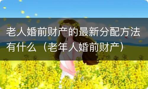 老人婚前财产的最新分配方法有什么（老年人婚前财产）