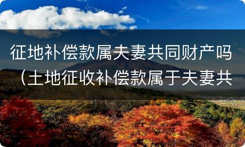 征地补偿款属夫妻共同财产吗（土地征收补偿款属于夫妻共同财产吗）