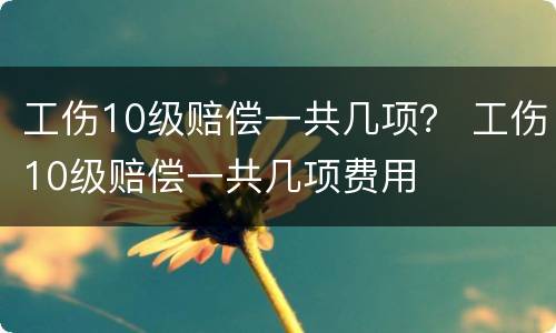工伤10级赔偿一共几项？ 工伤10级赔偿一共几项费用