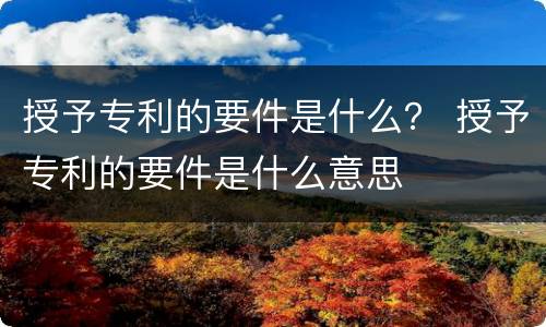 授予专利的要件是什么？ 授予专利的要件是什么意思