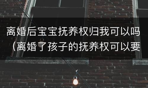 离婚后宝宝抚养权归我可以吗（离婚了孩子的抚养权可以要回来吗）
