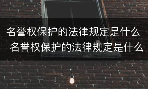 名誉权保护的法律规定是什么 名誉权保护的法律规定是什么意思