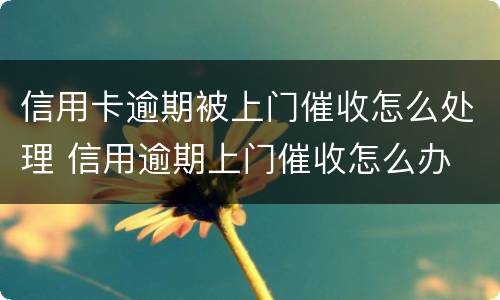 信用卡逾期被上门催收怎么处理 信用逾期上门催收怎么办