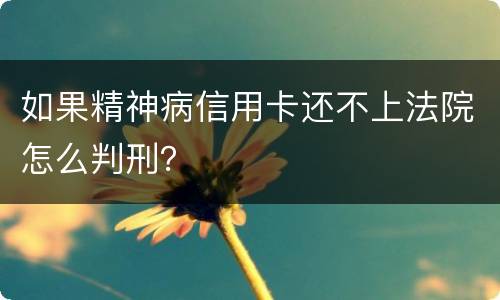 如果精神病信用卡还不上法院怎么判刑？