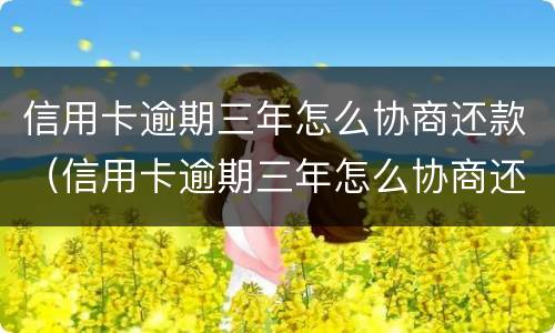 信用卡逾期三年怎么协商还款（信用卡逾期三年怎么协商还款呢）