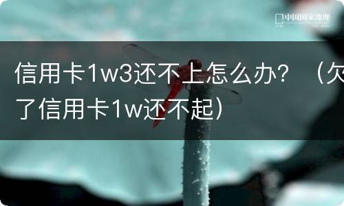 信用卡1w3还不上怎么办？（欠了信用卡1w还不起）